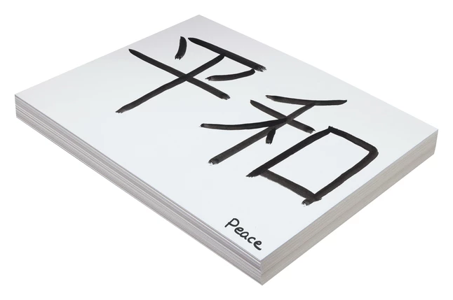 Top 10 🤩 Pacon Medium Weight Tagboard, 9 X 12 Inches, 9 Pt, White, Pack Of 100 ⭐ 2 Top 10 🤩 Pacon Medium Weight Tagboard, 9 X 12 Inches, 9 Pt, White, Pack Of 100 ⭐ - Image 2