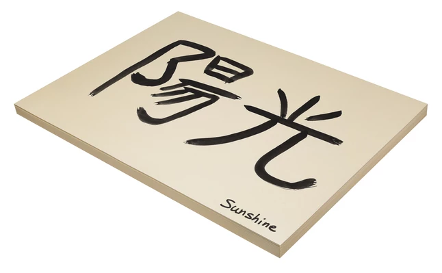 Discount โ๏ธ Pacon Medium Weight Tagboard, 18 X 24 Inches, 9 Pt, Manila, Pack Of 100 ๐ 2 Discount โ๏ธ Pacon Medium Weight Tagboard, 18 X 24 Inches, 9 Pt, Manila, Pack Of 100 ๐ - Image 2