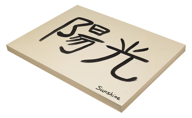 Budget โ๏ธ Pacon Heavyweight Tagboard, 18 X 24 Inches, 11 Pt, Manila, Pack Of 100 ๐ 2 Budget โ๏ธ Pacon Heavyweight Tagboard, 18 X 24 Inches, 11 Pt, Manila, Pack Of 100 ๐ - Image 2