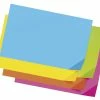 Best Sale 👍 Pacon Light-Weight Tagboard, 12 X 18 Inches, Assorted Bright Colors, Pack Of 100 🔥