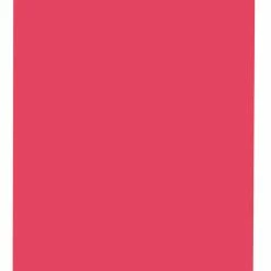 Brand new 🧨 School Smart Folding Bristol Board, 9 X 12 Inches, Red, Pack Of 100 🤩