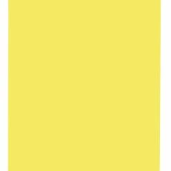 Buy 😉 School Smart Folding Bristol Board, 12 X 18 Inches, Canary, Pack Of 100 🥰