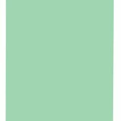 Discount ✔️ School Smart Folding Bristol Board, 12 X 18 Inches, Green, Pack Of 100 🌟