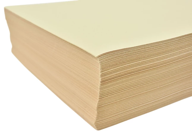 Cheap ๐คฉ Sax Multi-Purpose Drawing Paper, 56 Lbs, 18 X 24 Inches, Manila Cream, Pack Of 500 ๐ 2 Cheap ๐คฉ Sax Multi-Purpose Drawing Paper, 56 Lbs, 18 X 24 Inches, Manila Cream, Pack Of 500 ๐ - Image 2