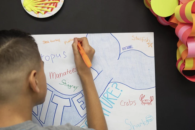 Best reviews of ๐ Art Street Super Value Easel Paper Roll, 18 Inches X 75 Feet, White ๐ฅฐ 5 Best reviews of ๐ Art Street Super Value Easel Paper Roll, 18 Inches X 75 Feet, White ๐ฅฐ - Image 5