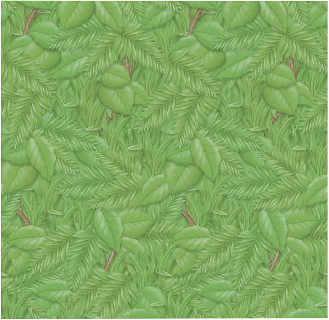 Outlet ๐ฏ Fadeless Designs Paper Roll, Tropical Foliage, 48 Inches X 50 Feet ๐ 1 Outlet ๐ฏ Fadeless Designs Paper Roll, Tropical Foliage, 48 Inches X 50 Feet ๐