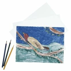 Wholesale ✨ Pacon Drawing Paper, 9 X 12 Inches, 60 Lb, White, 500 Sheets 🥰