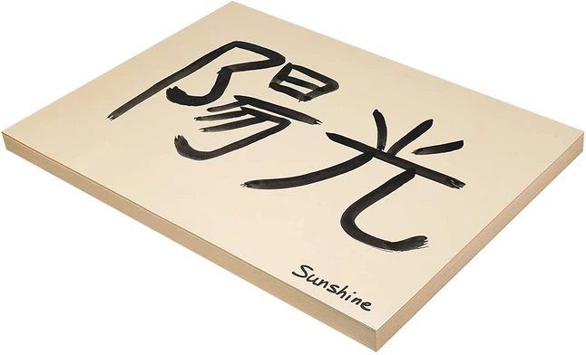 Discount โ๏ธ Pacon Medium Weight Tagboard, 18 X 24 Inches, 9 Pt, Manila, Pack Of 100 ๐ 3 Discount โ๏ธ Pacon Medium Weight Tagboard, 18 X 24 Inches, 9 Pt, Manila, Pack Of 100 ๐ - Image 3