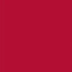 Budget 🔥 Pacon Plastic Poster Board, 22 X 28 Inches, Red, Pack Of 25 ✨