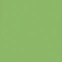 Hot Sale 🎁 Pacon Plastic Poster Board, 22 X 28 Inches, Lime Green, Pack Of 25 💯