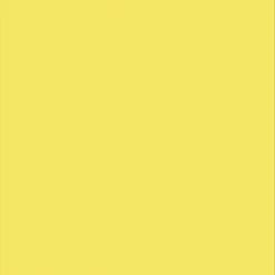 Budget ⌛ Pacon Plastic Poster Board, 22 X 28 Inches, Yellow, Pack Of 25 🛒