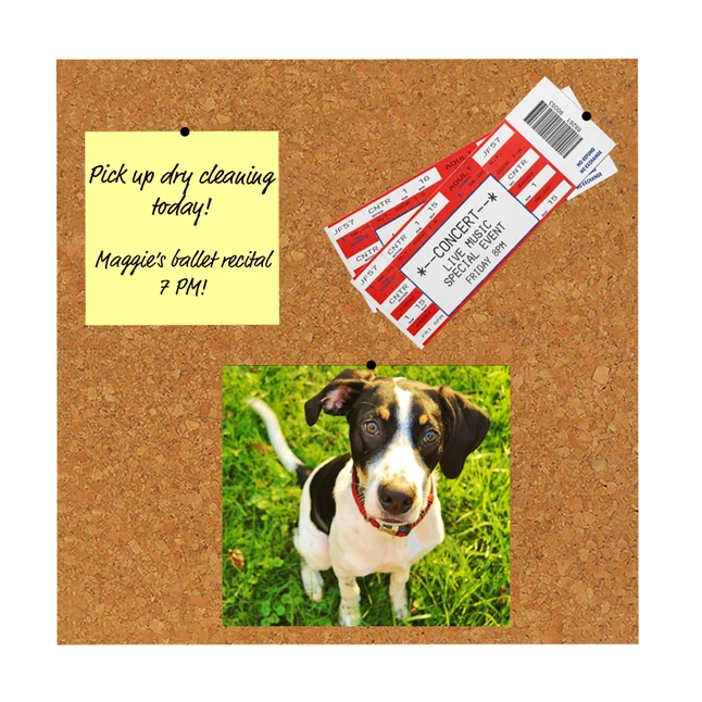 Promo ๐ Flipside Cork Tiles, 12 X 12 Inches, Natural, Pack Of 4 โ 2 Promo ๐ Flipside Cork Tiles, 12 X 12 Inches, Natural, Pack Of 4 โ - Image 2