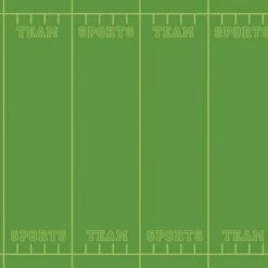 Budget ⌛ Fadeless Designs Paper Roll, Team Sports, 48 Inches X 50 Feet 🔔