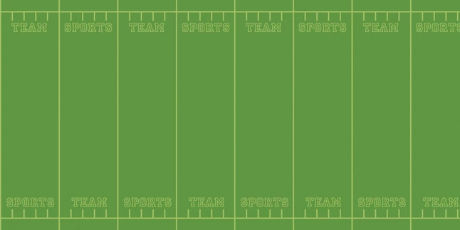 Budget โ Fadeless Designs Paper Roll, Team Sports, 48 Inches X 50 Feet ๐ 1 Budget โ Fadeless Designs Paper Roll, Team Sports, 48 Inches X 50 Feet ๐