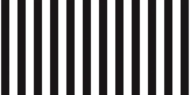 Flash Sale โญ Fadeless Designs Paper Roll, Black Stripe, 48 Inches X 12 Feet ๐ 1 Flash Sale โญ Fadeless Designs Paper Roll, Black Stripe, 48 Inches X 12 Feet ๐