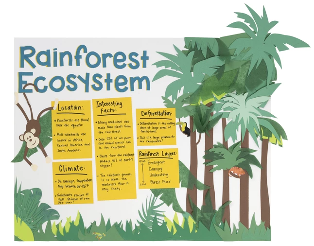 Budget ๐ฏ Pacon Super Value Poster Board, 22 X 28 Inches, White, Pack Of 50 ๐ 2 Budget ๐ฏ Pacon Super Value Poster Board, 22 X 28 Inches, White, Pack Of 50 ๐ - Image 2